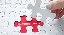 Qualified Lead Process