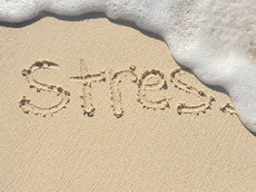 Reducing the Stress of Being a Landlord