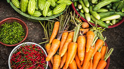 The Benefits of Buying and Eating Locally Grown Food